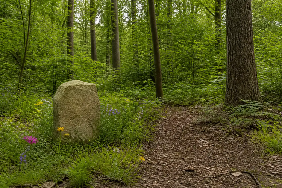 Lage natuursteen met wilde bloemen langs een bospad op een natuurbegraafplaats